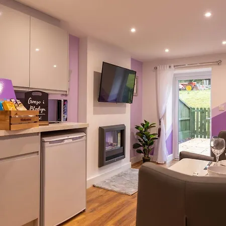 Caer Fedwen Barns Blodyn Cottage Cosy Self Catering With Private Hot Tub Bodfari Exterior photo